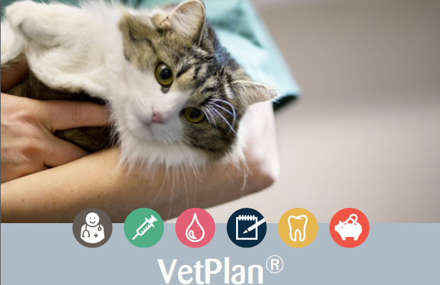 VETPLAN